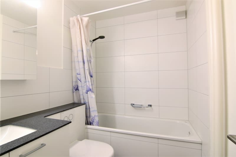 Helle 4-Zimmerwohnung in naturnaher Umgebung in Halten (3)