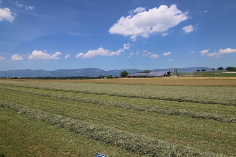 Helle 4-Zimmerwohnung in naturnaher Umgebung in Halten (8)