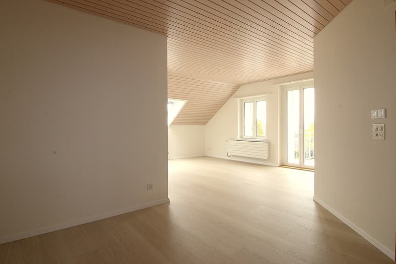 Gepflegte 4-Zimmer-Dachwohnung (7)