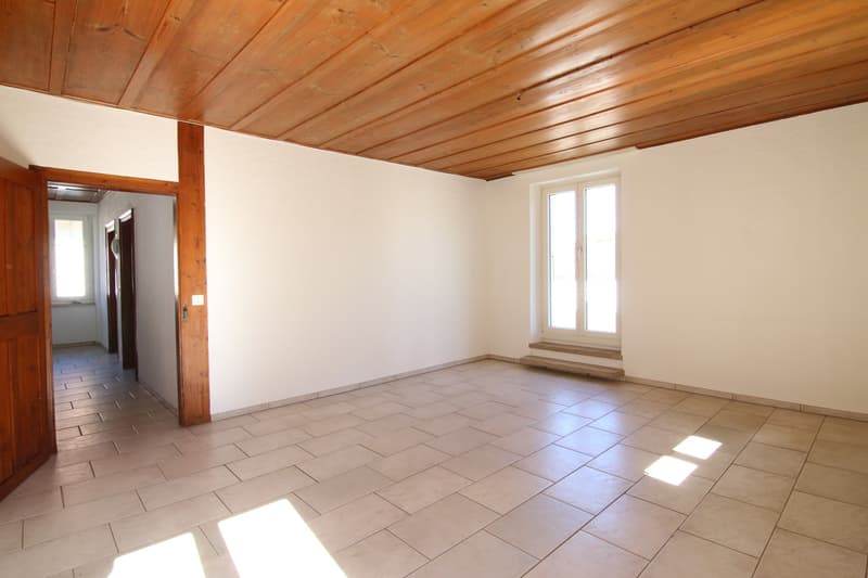Charmante 4.5-Zimmerwohnung mit grosser Terrasse (3)