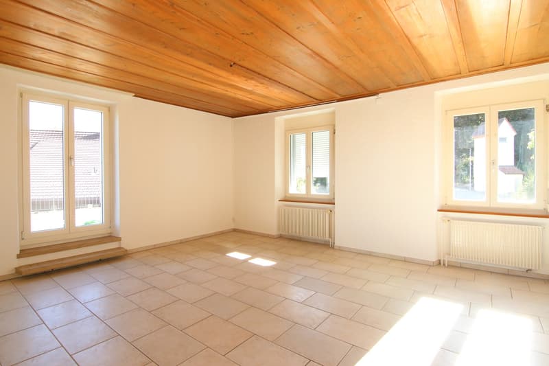 Charmante 4.5-Zimmerwohnung mit grosser Terrasse (2)