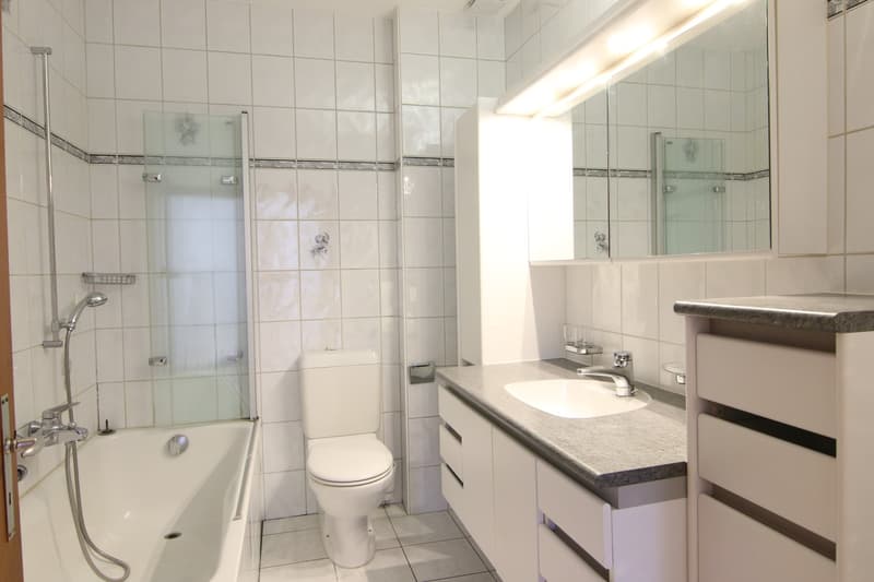 Charmante 4.5-Zimmerwohnung mit grosser Terrasse (8)