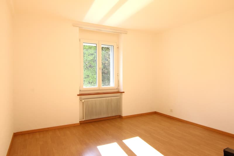 Charmante 4.5-Zimmerwohnung mit grosser Terrasse (4)