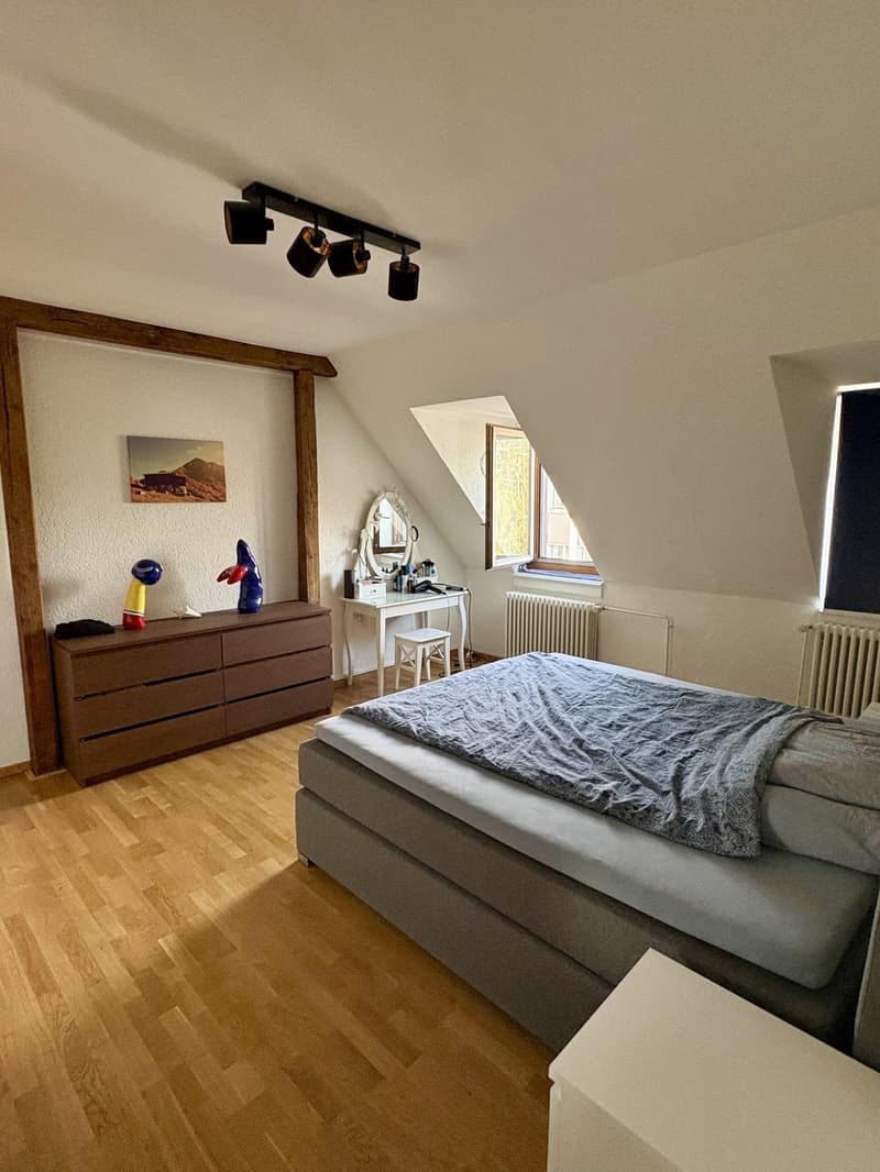 Einzigartige Maisonette mit privater Dachterrasse (2)