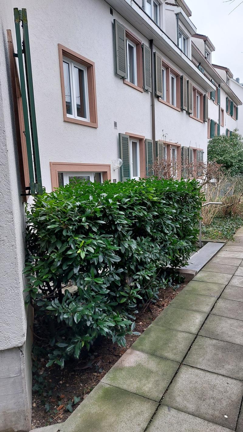 Freshly renovated 3.5-room attic apartment at Lindenplatz in Bettingen (7)