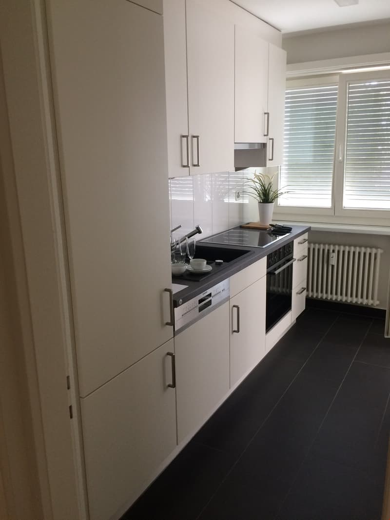 2-Zimmer-Wohnung mit Balkon im Kleinbasel (1)