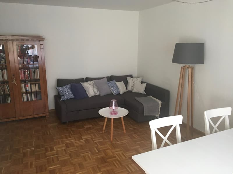 2-Zimmer-Wohnung mit Balkon im Kleinbasel (3)