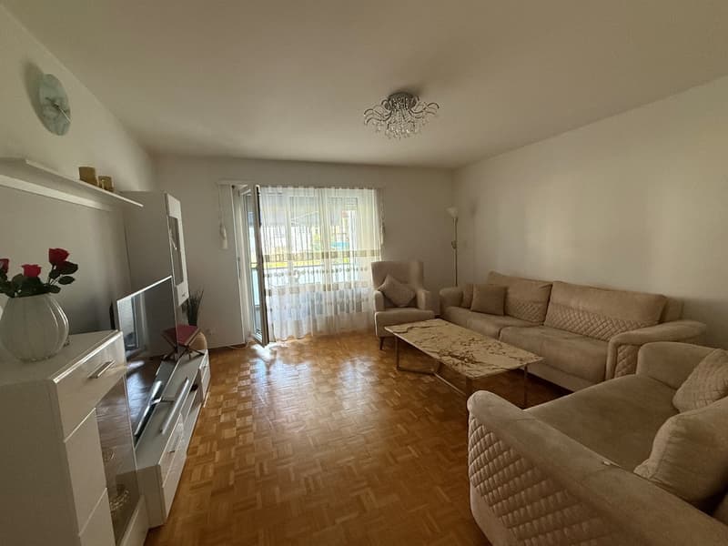 Appartamento 3 locali nel popolare Gundeli (8)