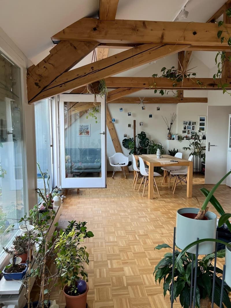Appartement spacieux 2.5 pièces en mansarde avec terrasse sur le toit (3)