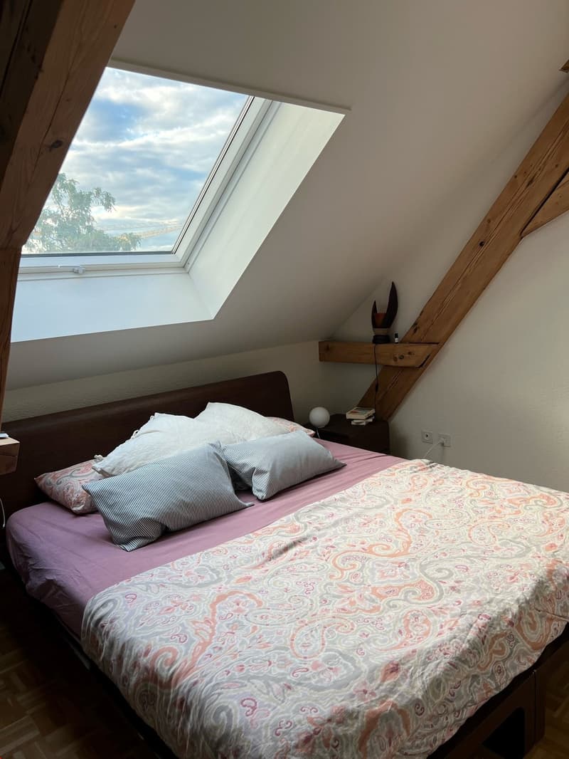 Appartement spacieux 2.5 pièces en mansarde avec terrasse sur le toit (7)