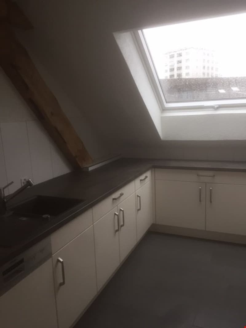 Appartement spacieux 2.5 pièces en mansarde avec terrasse sur le toit (10)