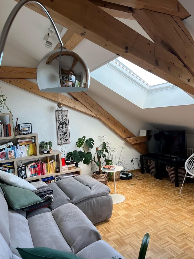 Appartement spacieux 2.5 pièces en mansarde avec terrasse sur le toit (6)