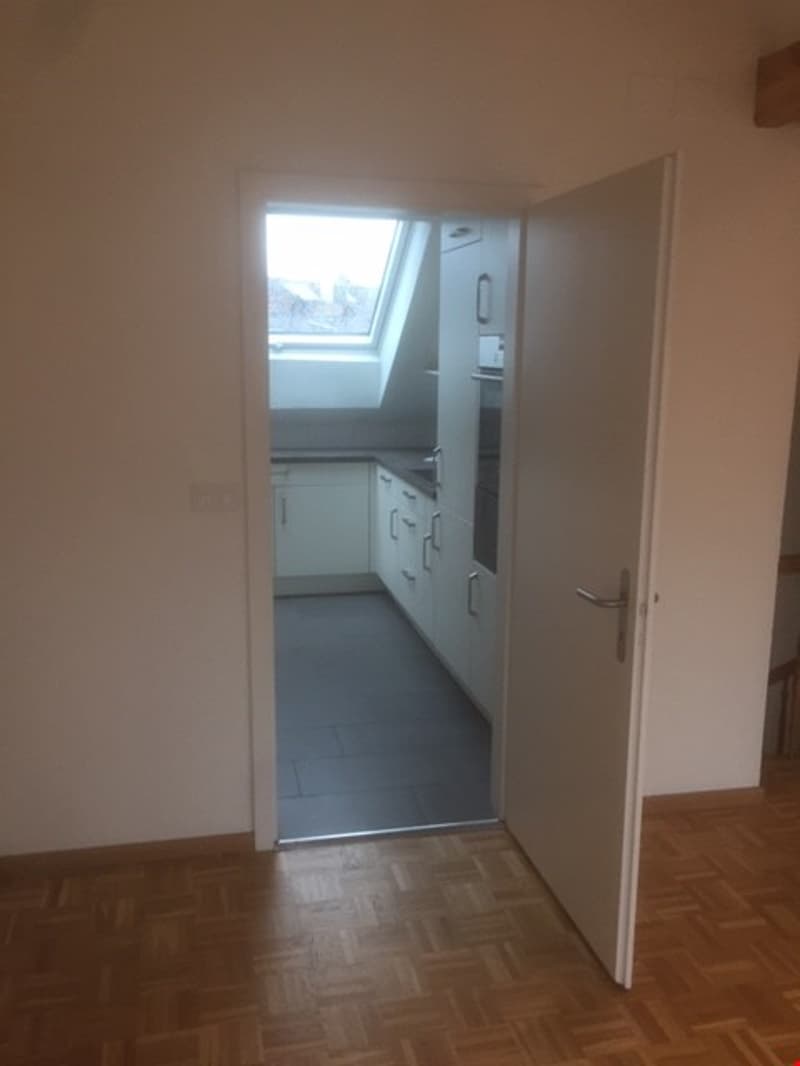 Appartement spacieux 2.5 pièces en mansarde avec terrasse sur le toit (11)