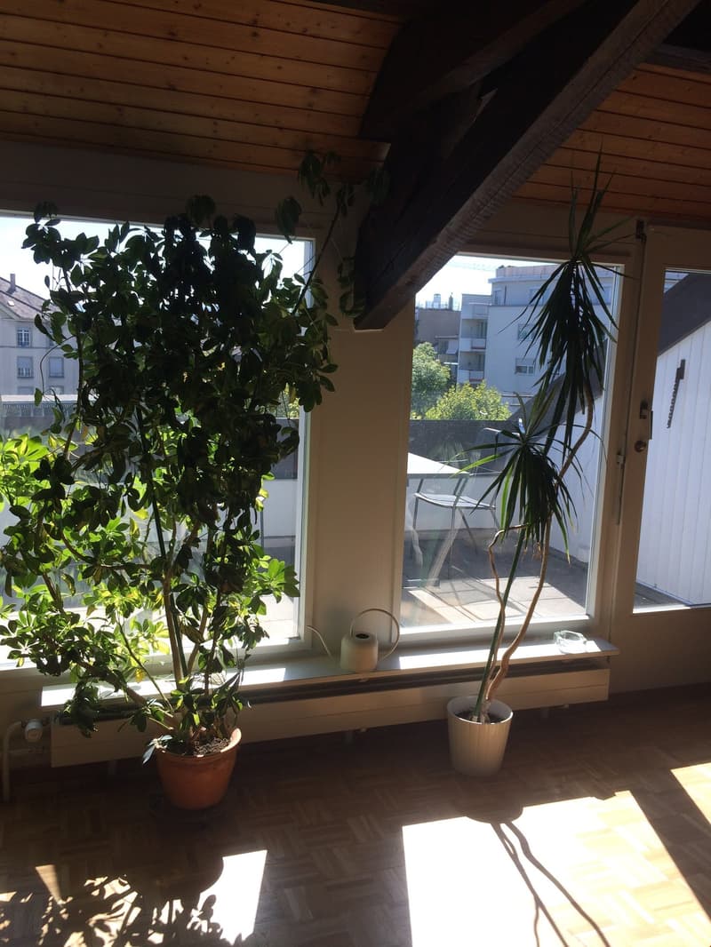 Appartement spacieux 2.5 pièces en mansarde avec terrasse sur le toit (1)