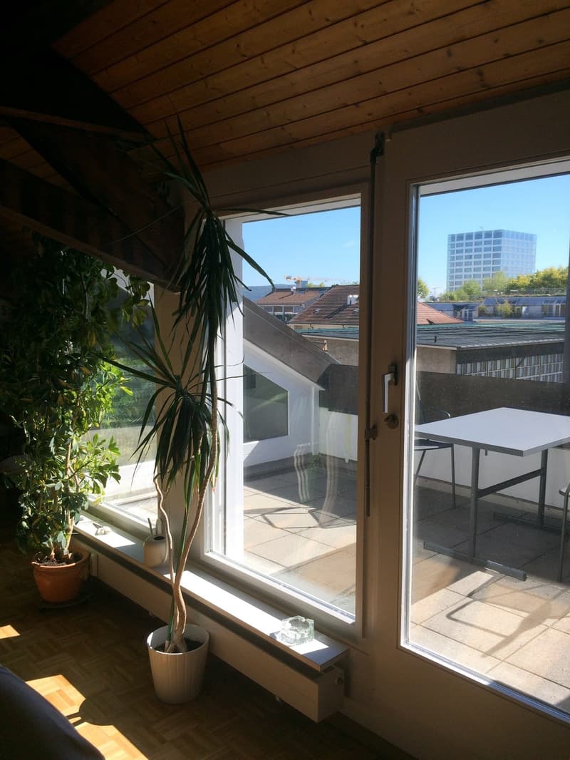 Appartement spacieux 2.5 pièces en mansarde avec terrasse sur le toit (2)