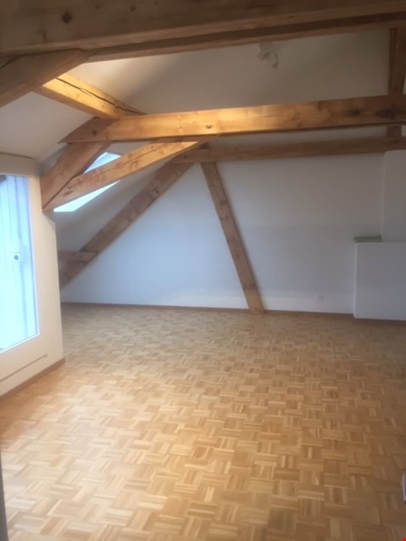 Appartement spacieux 2.5 pièces en mansarde avec terrasse sur le toit (17)