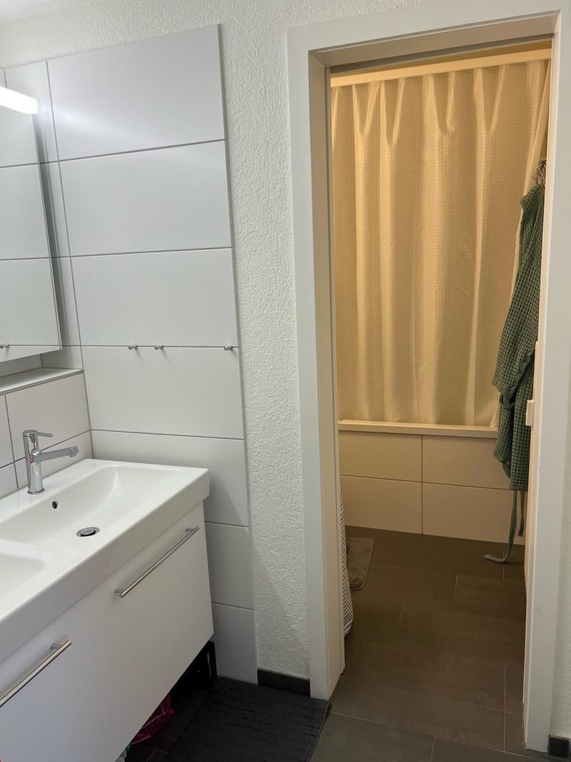 Appartement spacieux 2.5 pièces en mansarde avec terrasse sur le toit (8)