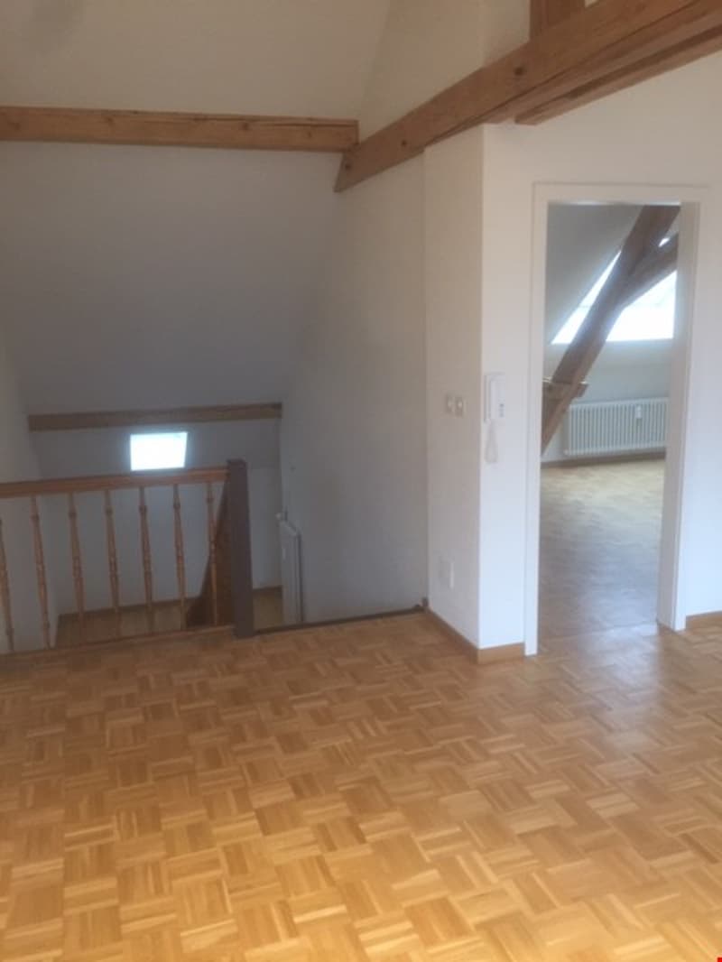 Appartement spacieux 2.5 pièces en mansarde avec terrasse sur le toit (13)