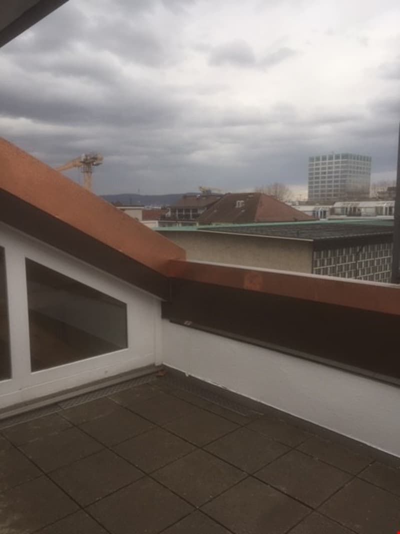 Appartement spacieux 2.5 pièces en mansarde avec terrasse sur le toit (15)
