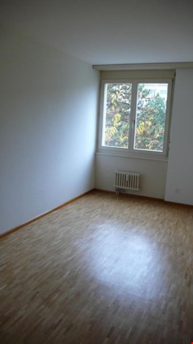 grosszügige 3 1/2 Zimmerwohnung in Kleinhüningen mit neuem Bad (5)
