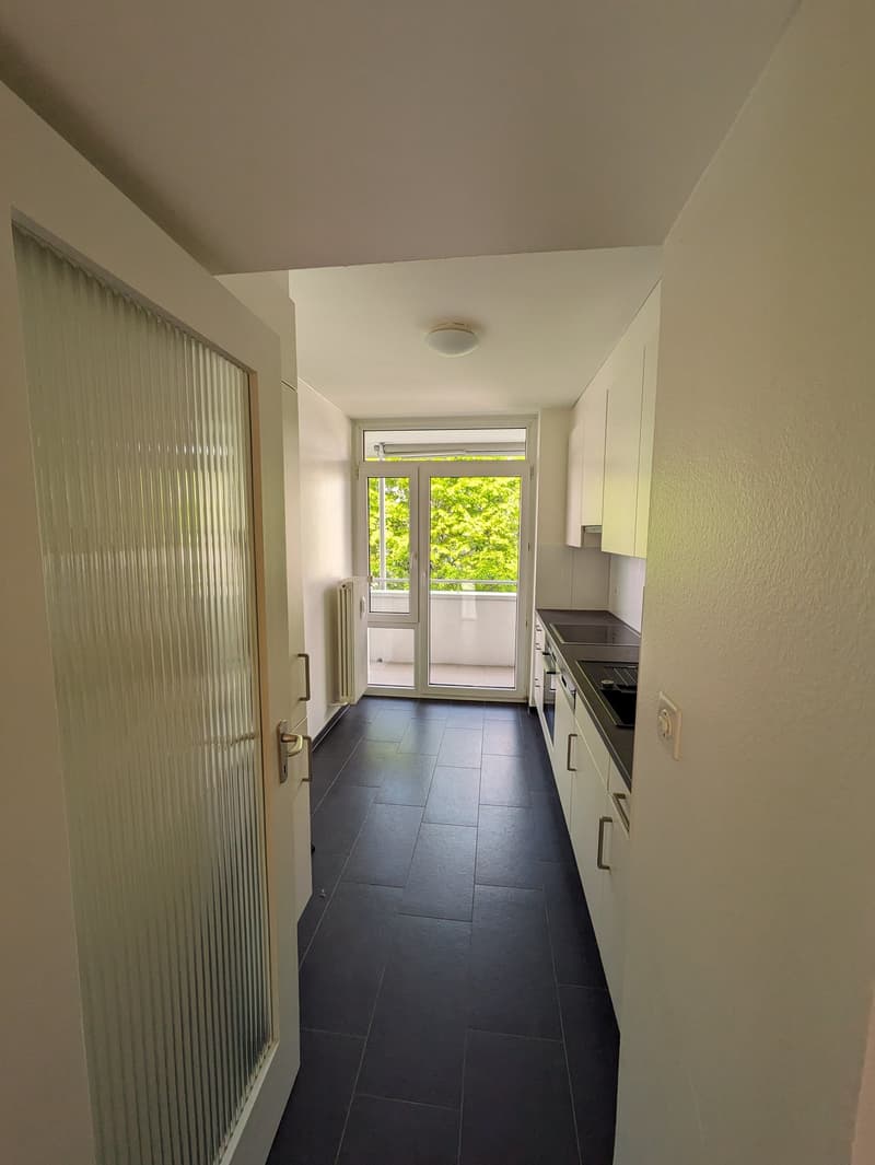 Renovierte 3 Zimmerwohnung mit neuer Küche im Grünen (6)