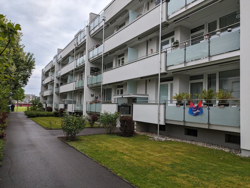Renovierte 3 Zimmerwohnung mit neuer Küche im Grünen (2)