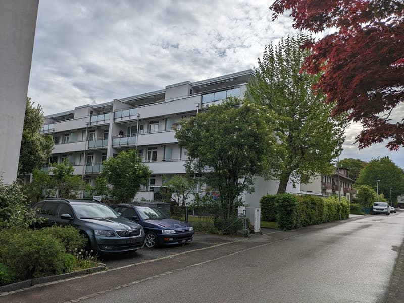 Renovierte 3 Zimmerwohnung mit neuer Küche im Grünen (4)
