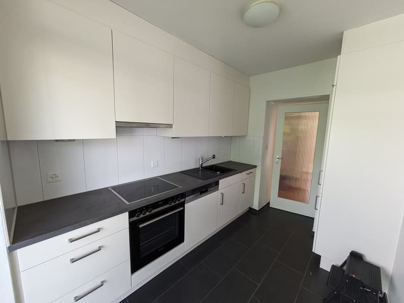 Renovierte 3 Zimmerwohnung mit neuer Küche im Grünen (5)