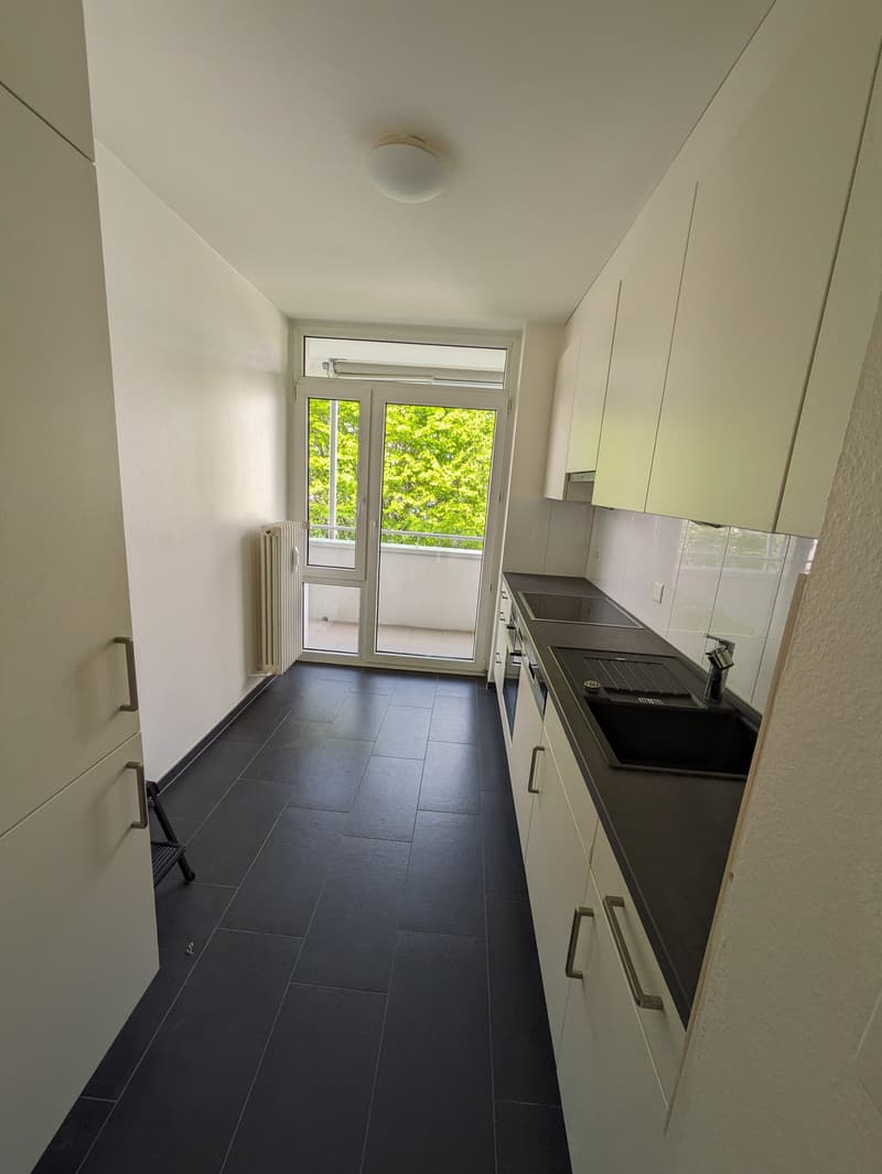 Renovierte 3 Zimmerwohnung mit neuer Küche im Grünen (7)