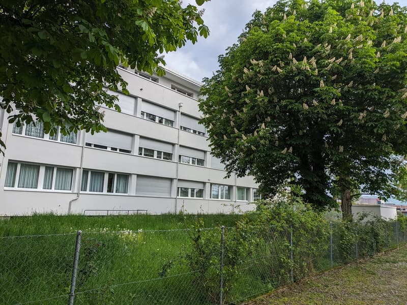 Renovierte 3 Zimmerwohnung mit neuer Küche im Grünen (3)