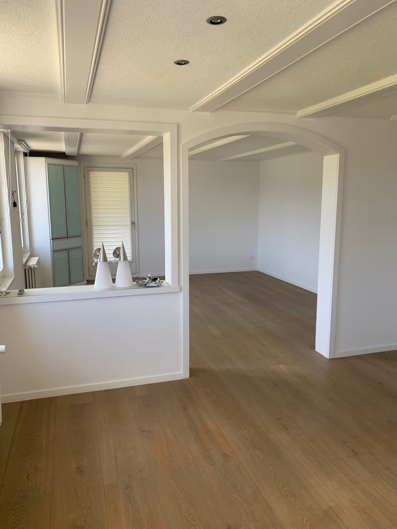 Charmante 5.5-Zimmer-Altbauwohnung mit Pergola/Grillstelle zur Alleinbenutzung (2)