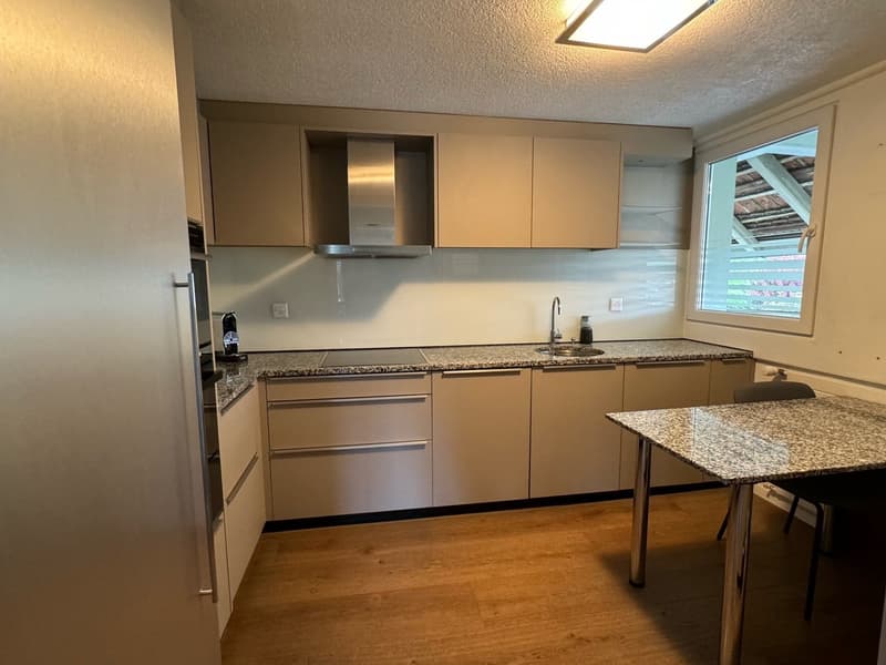 Charmante 5.5-Zimmer-Altbauwohnung mit Pergola/Grillstelle zur Alleinbenutzung (3)
