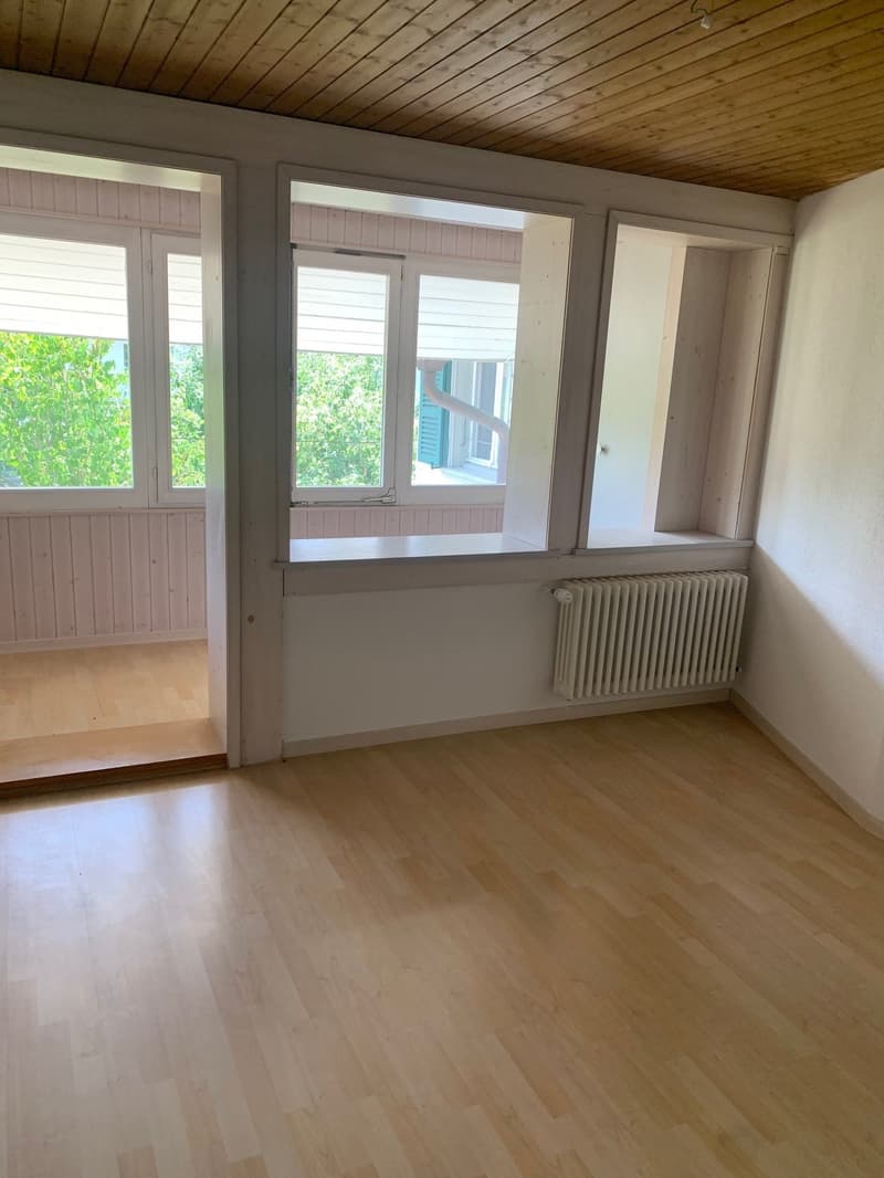 Charmante 5.5-Zimmer-Altbauwohnung mit Pergola/Grillstelle zur Alleinbenutzung (4)