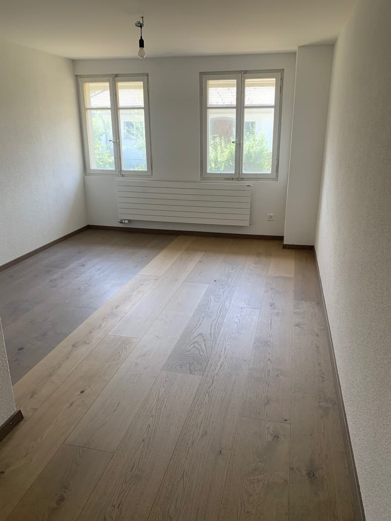 Charmante 5.5-Zimmer-Altbauwohnung mit Pergola/Grillstelle zur Alleinbenutzung (7)