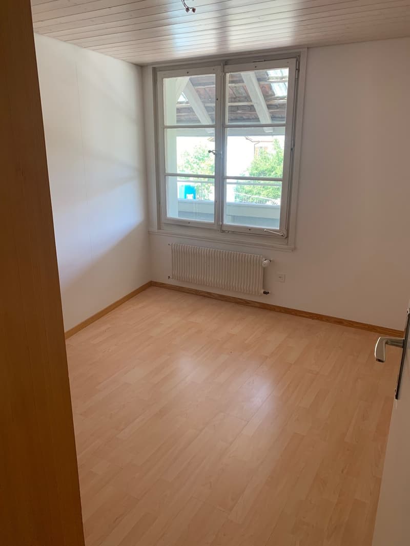 Charmante 5.5-Zimmer-Altbauwohnung mit Pergola/Grillstelle zur Alleinbenutzung (5)