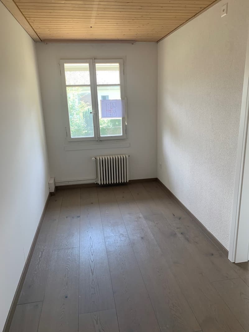 Charmante 5.5-Zimmer-Altbauwohnung mit Pergola/Grillstelle zur Alleinbenutzung (8)