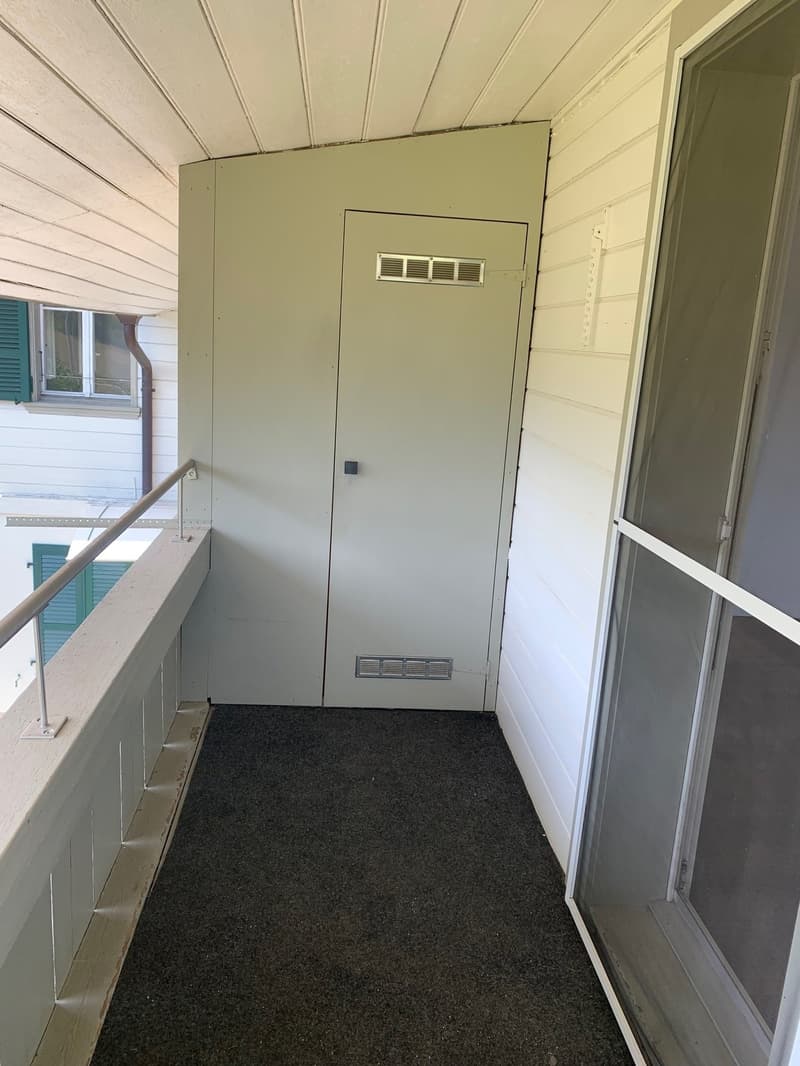 Charmante 5.5-Zimmer-Altbauwohnung mit Pergola/Grillstelle zur Alleinbenutzung (13)