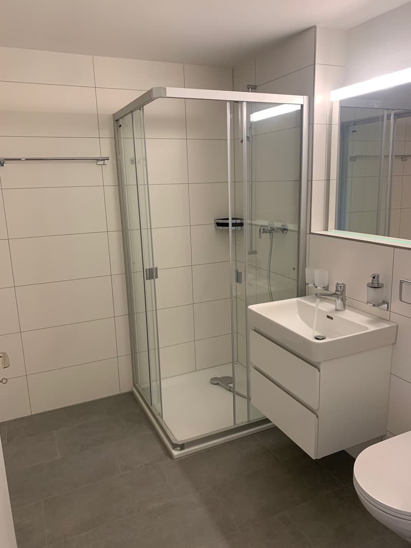 Charmante 5.5-Zimmer-Altbauwohnung mit Pergola/Grillstelle zur Alleinbenutzung (10)