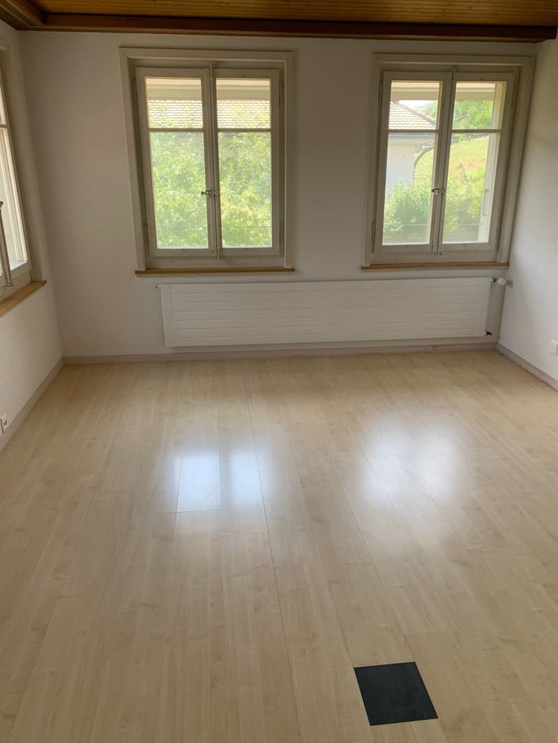 Charmante 5.5-Zimmer-Altbauwohnung mit Pergola/Grillstelle zur Alleinbenutzung (6)