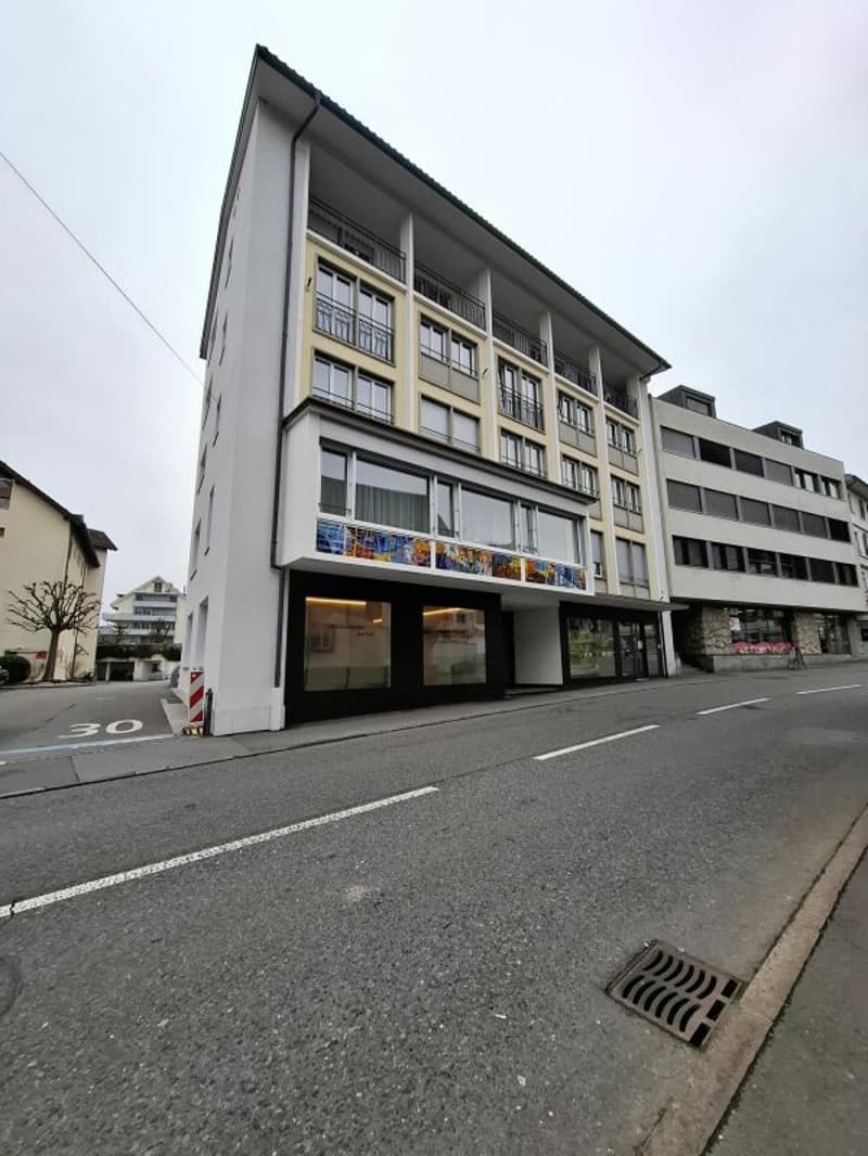 Gewerbe-/Ladenfläche mitten in Küssnacht (3)
