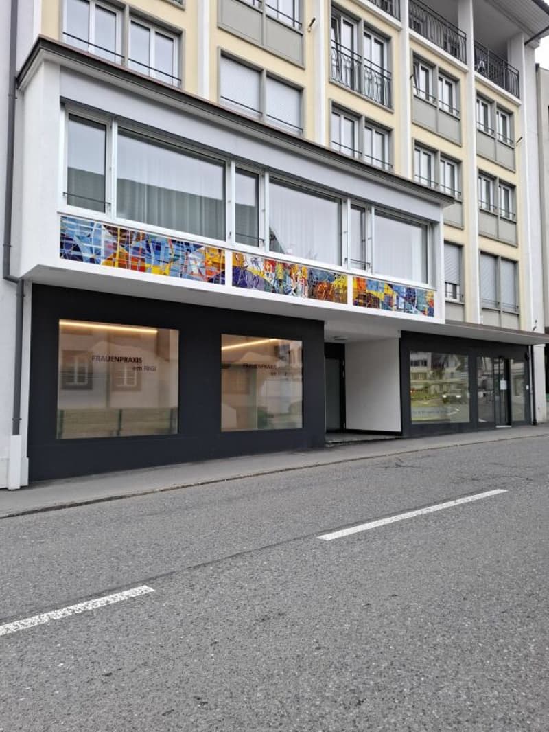 Gewerbe-/Ladenfläche mitten in Küssnacht (2)