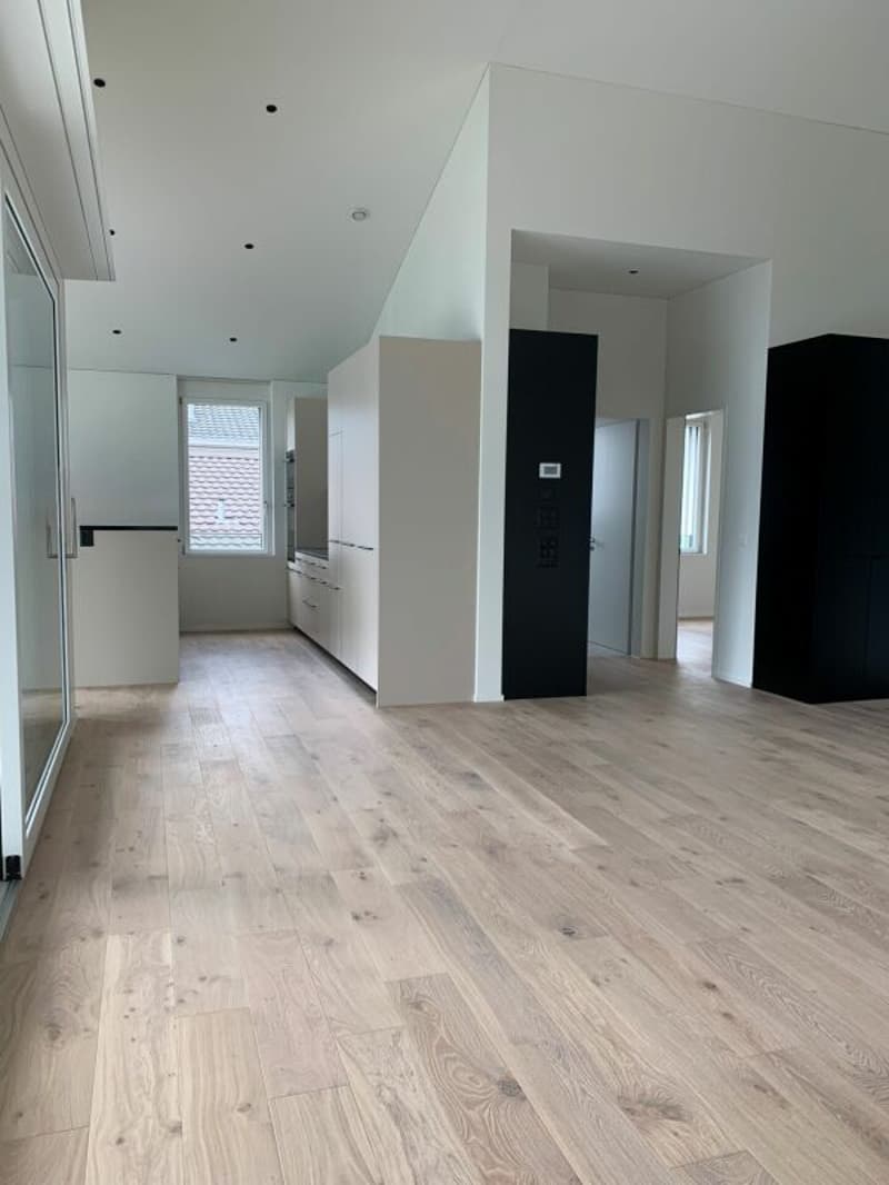 Appartamento attico esclusivo con vista unica sul lago e le montagne (11)
