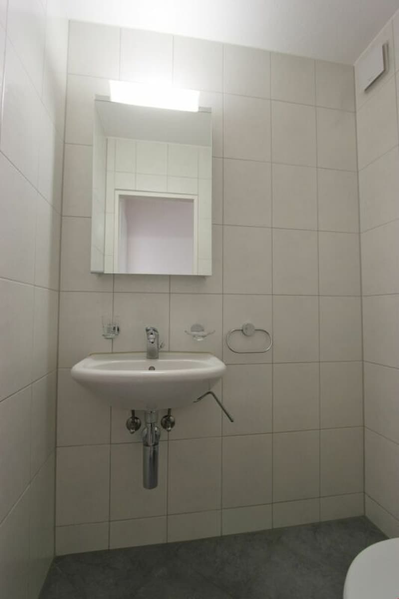Appartamento soleggiato, luminoso in un bel quartiere (7)