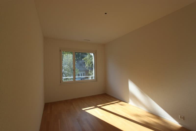 Bel appartement attique 3.5 pièces à Pfaffnau (6)