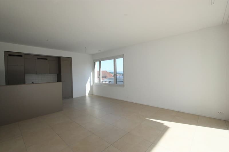 Bel appartement attique 3.5 pièces à Pfaffnau (4)