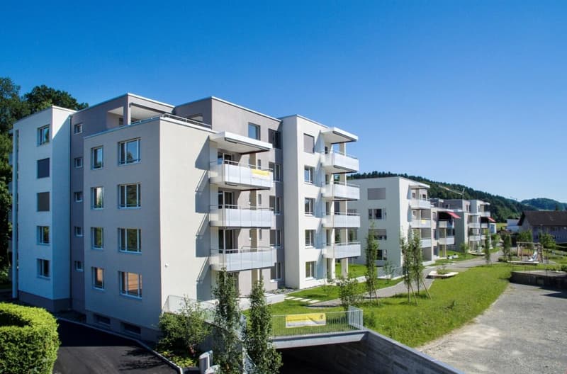 Bel appartement attique 3.5 pièces à Pfaffnau (1)