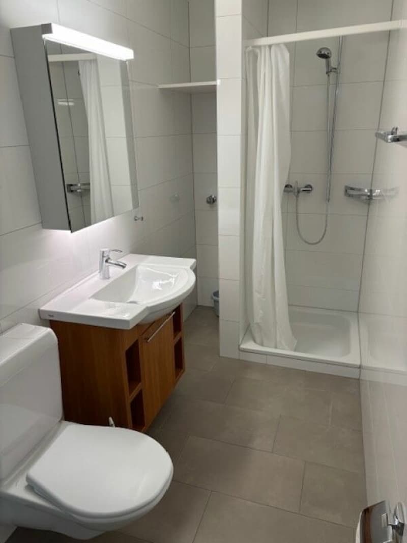 Furnished 1-room apartment for weekly renters (8)