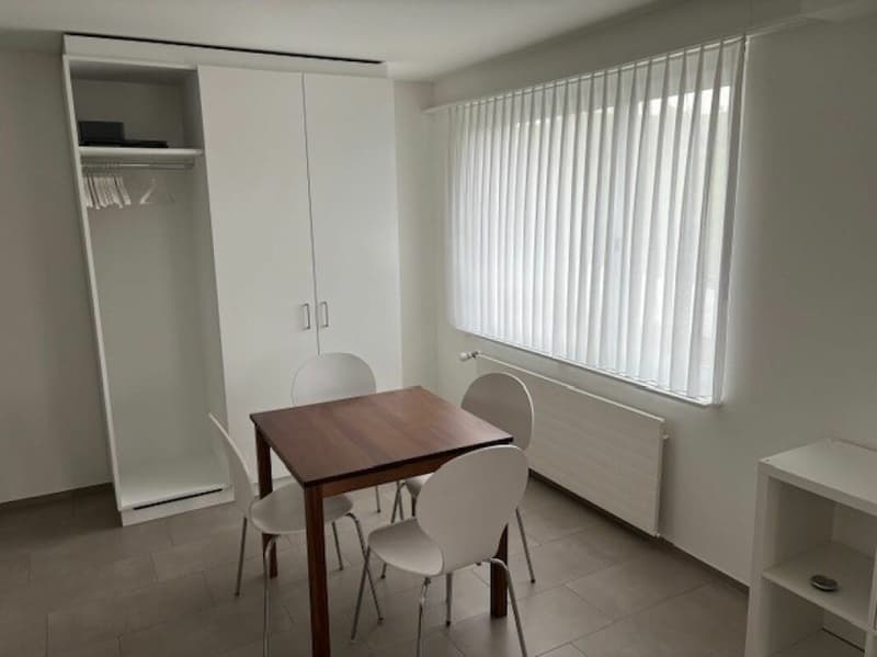 Furnished 1-room apartment for weekly renters (2)