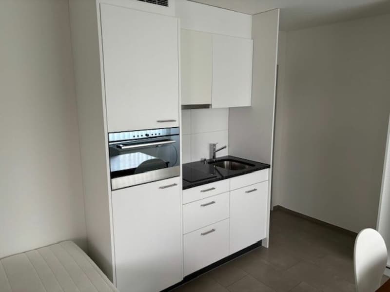 Furnished 1-room apartment for weekly renters (6)