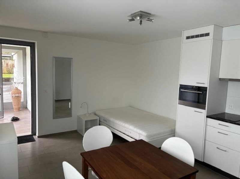 Furnished 1-room apartment for weekly renters (3)